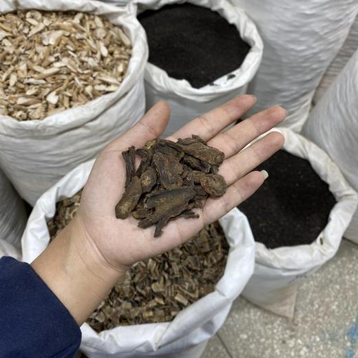 虎掌草 商品图4