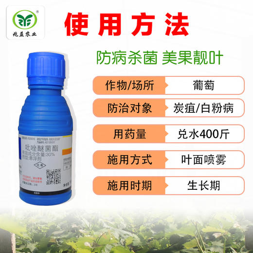 丰达 吡唑醚菌酯 商品图2