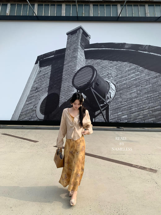 Read Nameless /招财金色蝴蝶裙+新中式麻感肌底开衫 商品图5