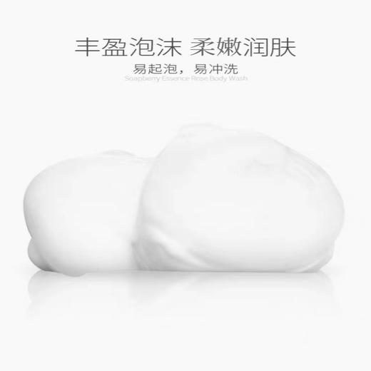 0591【国企严选，山海食材】苦参沐浴露 商品图2