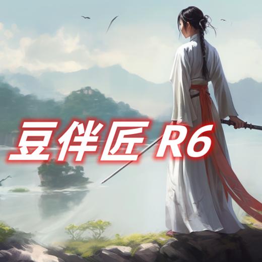 豆伴匠 R系列|16+名篇精读，60+名篇泛读，博雅通识，艺术创作 商品图3