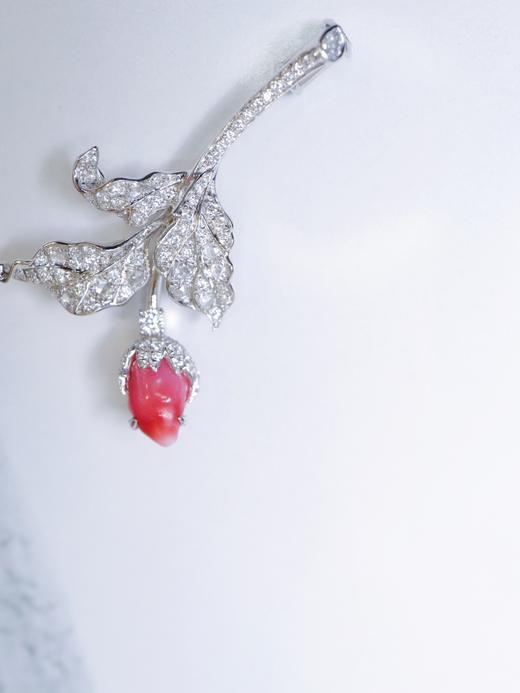 0.83ct 海螺珠吊坠胸针 商品图6