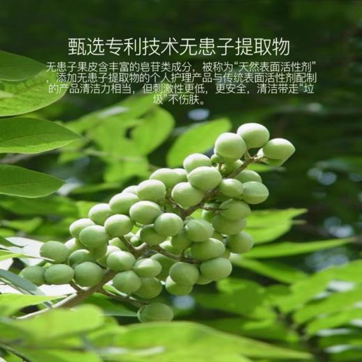 0591【国企严选，山海食材】苦参沐浴露 商品图1