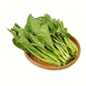 【央厨特惠】菜心300g/份