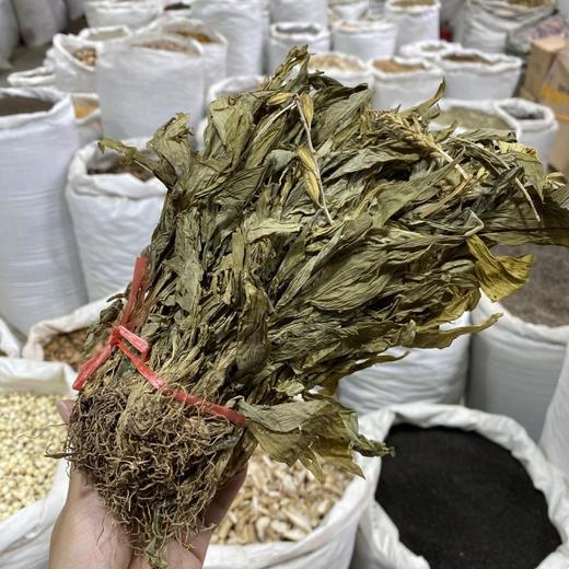 见血清 商品图3