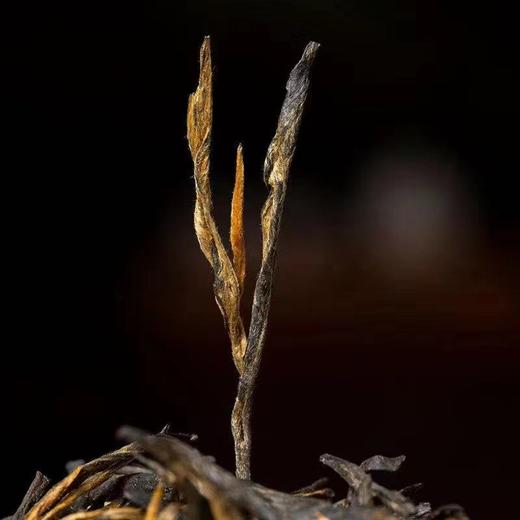 古树红茶】 云南古树滇红 红玉茶礼盒装  160克/盒 商品图3