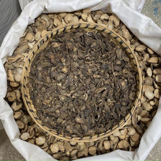 虎掌草 商品图2