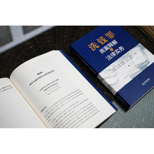 洗钱罪类案释解与法律实务(王朝勇) 商品图2