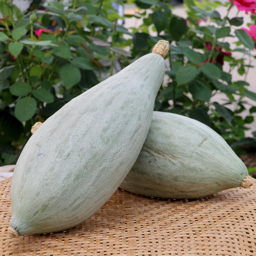 安心优选超好吃的贵族南瓜3斤  粉糯香甜  栗子香味儿浓 可蒸可炖菜做粥 商品图5