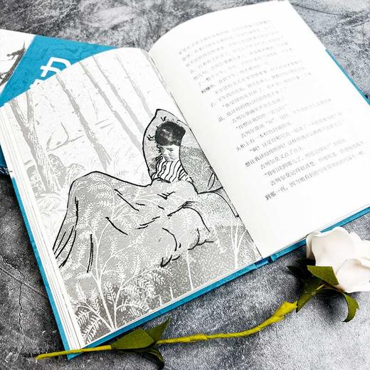 奇波力部落（激发孩子阅读兴趣，尽显文学和阅读的魔力）(大卫·内尔洛) 商品图1