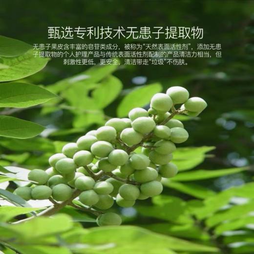 0591【国企严选，山海食材】柔顺亮泽洗发露 商品图2