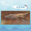 鲸的五千万年  一本跨越五千万年的绘本，走进鲸的世界，探索深海奥秘，体验进化之旅。4-6-8岁小天角轻科普((日) 水口博也 著 ) 商品缩略图2