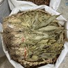 见血清 商品缩略图2