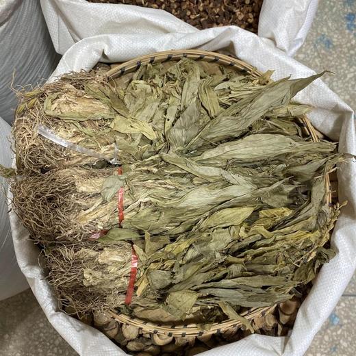 见血清 商品图2