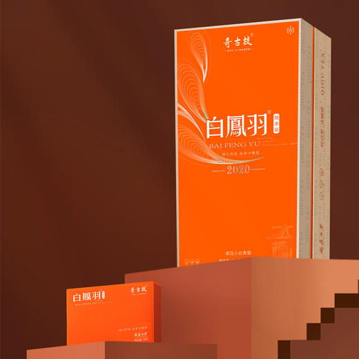 福鼎白茶】 奇古支白凤羽｜小白茶寿眉   240克/盒 商品图2