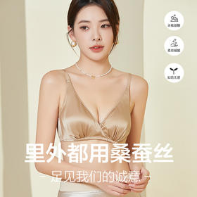 TG-TG02S218春夏双面桑蚕丝聚拢文胸 无钢圈光面真丝缎面19姆米内衣薄款
