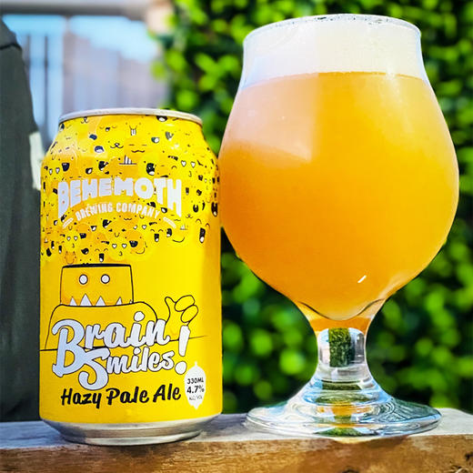 【冷库储存】新西兰比萌巨兽脑海里的微笑浑浊淡色艾尔5.4%vol 商品图2