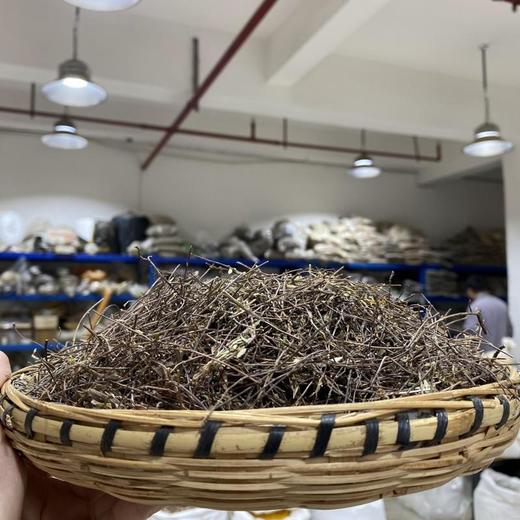 姜味草 商品图1