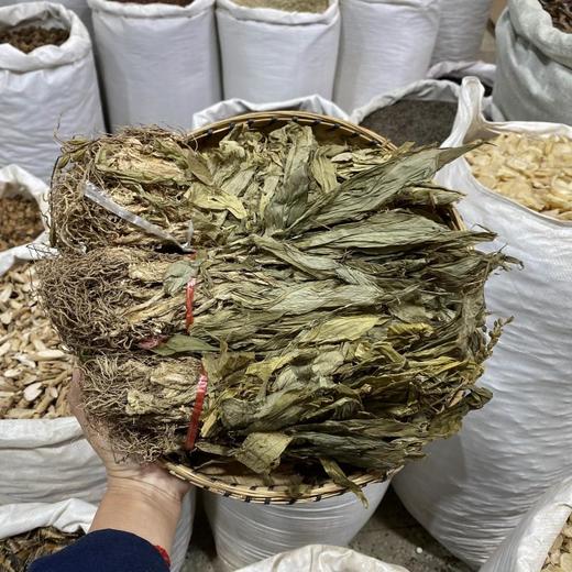 见血清 商品图0