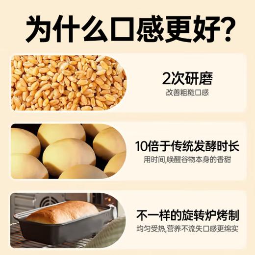袋鼠先生 全麦五黑吐司面包早餐健身代餐低脂高饱腹不添加蔗糖粗粮厚切片 【五黑面包】*1箱（2斤装） 商品图2