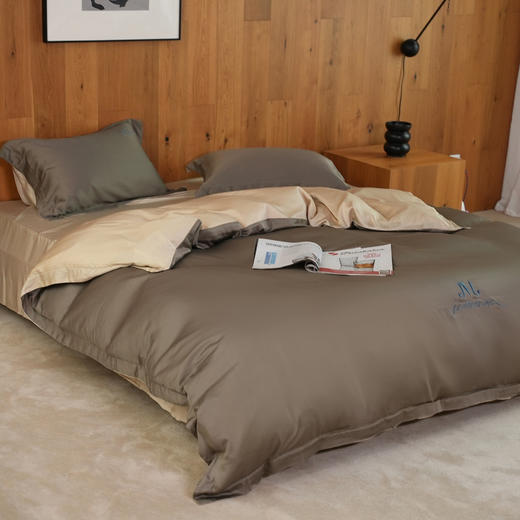 冰肌裸感四件套竹纤维双面刺绣两用双拼色被套枕套床单 商品图5