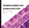 恶性肺脏疾病和肺脏少见病快速现场评价组学图谱 冯靖 靳芳 植丽佳主编 商品缩略图1