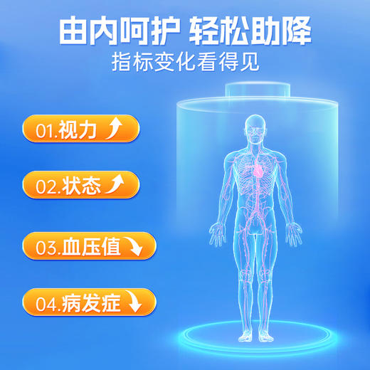 【复合配方，辅助降血压】一心堂丹参天麻葛根决明子杜仲胶囊 商品图3