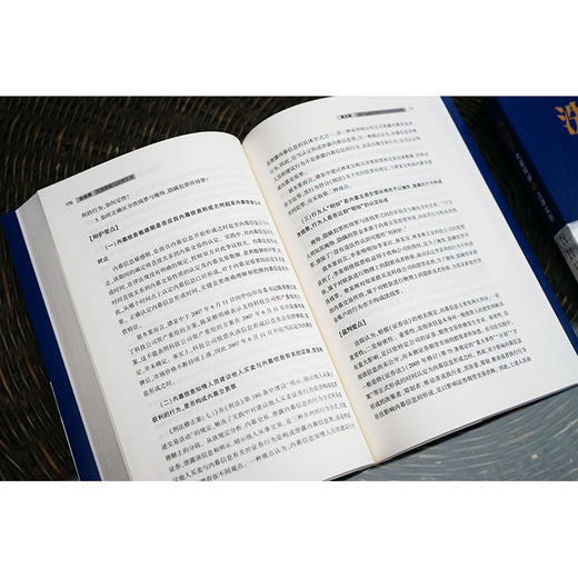 洗钱罪类案释解与法律实务(王朝勇) 商品图3