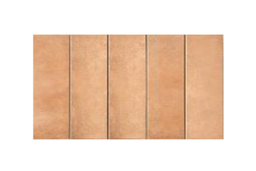 CHA-R73R13 75*300mm 哑面花砖 商品图0