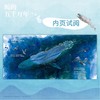 鲸的五千万年  一本跨越五千万年的绘本，走进鲸的世界，探索深海奥秘，体验进化之旅。4-6-8岁小天角轻科普((日) 水口博也 著 ) 商品缩略图3