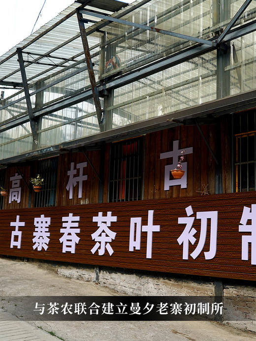 专属定制茶【曼夕茶王地高杆】蕞接近茶王的口感 特制50克装散茶以供品鉴；正装单株包树的形式出售/免费提供定制服务 商品图8