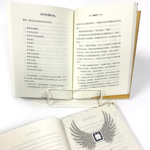 比利与地精王国（全6册）【神秘岛】 商品图3