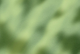 1篇教会你三伏天用芳疗！ 