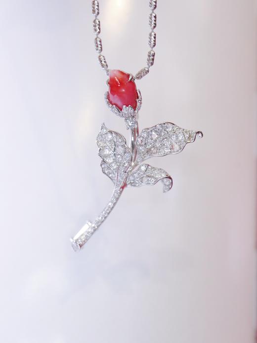 0.83ct 海螺珠吊坠胸针 商品图5