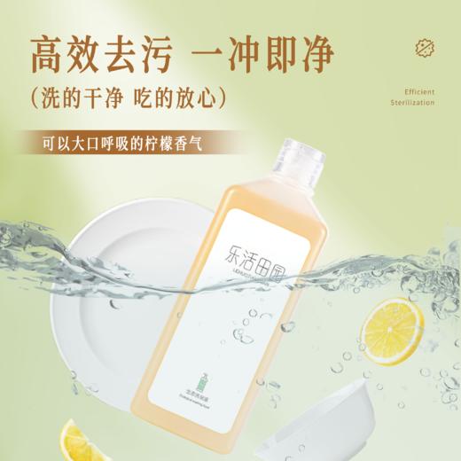 生态洗碗液  500ml  乐活田园 商品图2
