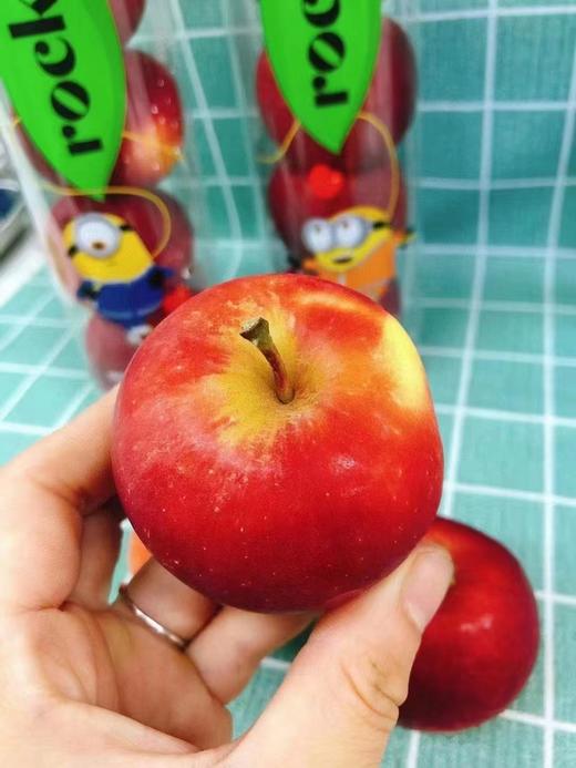 火箭筒新西兰苹果一桶 商品图1
