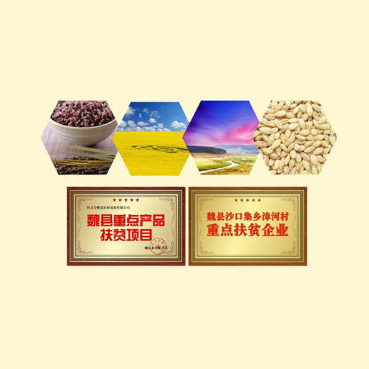 今粮道原味麦粉 商品图2