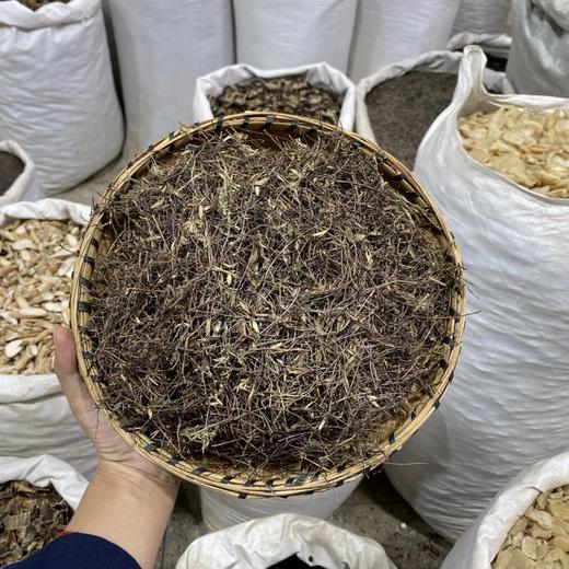 姜味草 商品图0