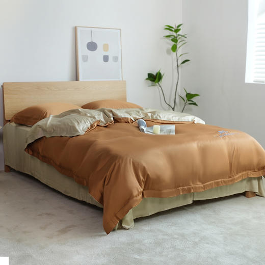 冰肌裸感四件套竹纤维双面刺绣两用双拼色被套枕套床单 商品图2