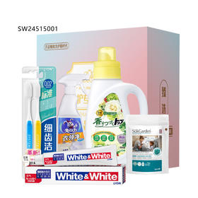 狮王家庭清洁6件套