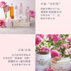 法国 Fresh馥蕾诗 玫瑰花瓣润泽保湿涂抹面膜 100ml 商品缩略图5