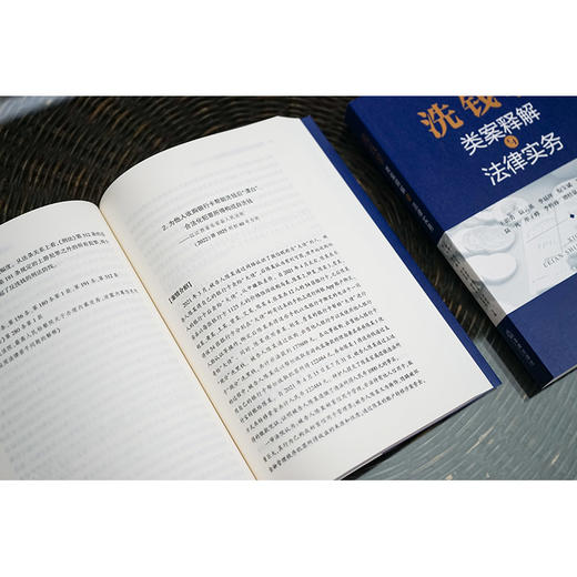 洗钱罪类案释解与法律实务(王朝勇) 商品图4