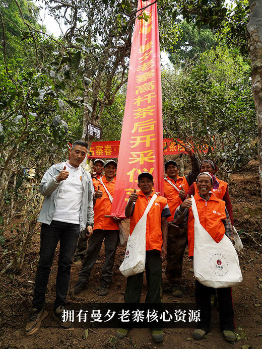 专属定制茶【曼夕茶王地高杆】蕞接近茶王的口感 特制50克装散茶以供品鉴；正装单株包树的形式出售/免费提供定制服务 商品图6