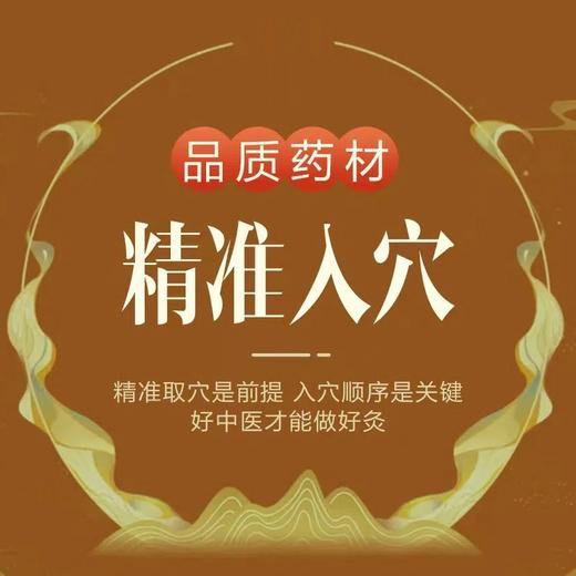 【艾灸】辩证施治/除湿净排 商品图0