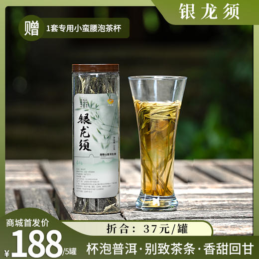 【倩倩直播间推荐】银龙须 2024年普洱生茶 南糯山 杯泡普洱茶 50g/罐 商品图1