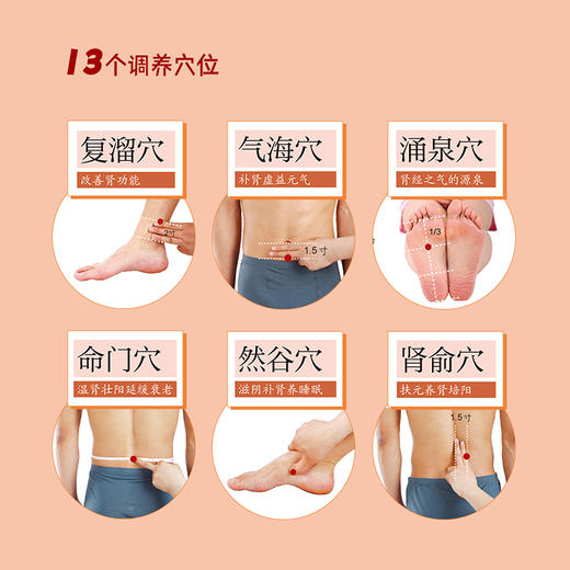 黄帝内经养命先养肾（有声版）(杨秀岩) 商品图3