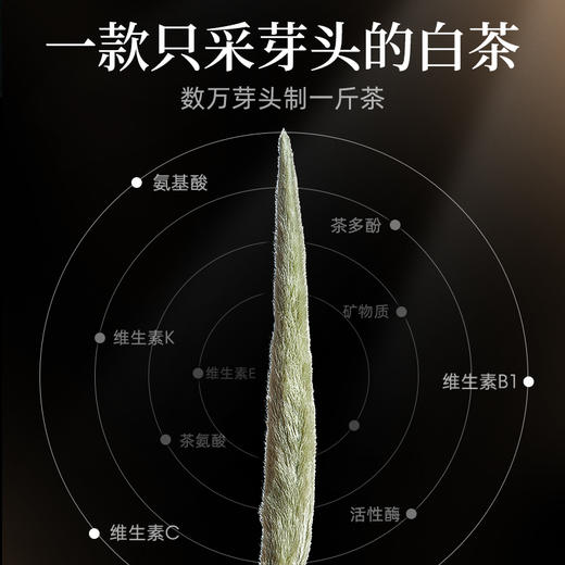 艺福堂 特级 白毫银针30g/罐 商品图1
