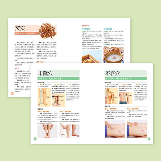 黄帝内经脾胃好病不找（有声版）(杨秀岩) 商品图4