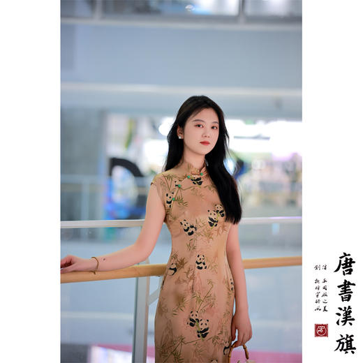 【盼达】暗纹竹影小熊猫立领无袖改良旗袍新中式 商品图1