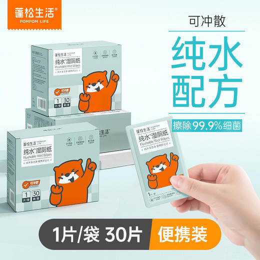 蓬松生活纯水湿厕纸单片独立装10抽纸便携湿厕纸可冲散男女擦屁屁 商品图0
